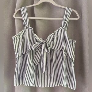 American Eagle Outfitters Blue and White Striped Crop Top